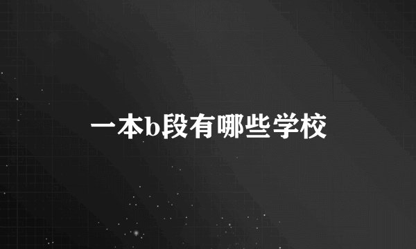 一本b段有哪些学校