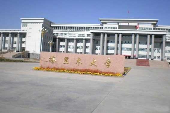 2023塔里木大学投档线