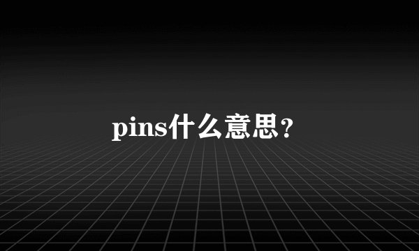 pins什么意思？