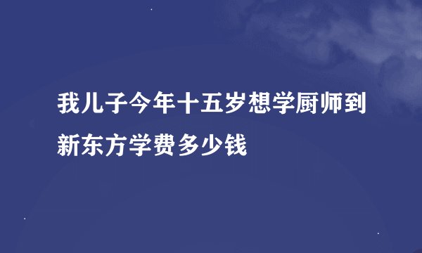 我儿子今年十五岁想学厨师到新东方学费多少钱