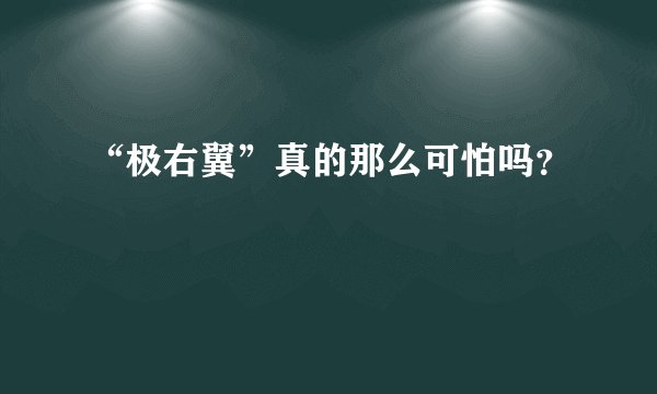 “极右翼”真的那么可怕吗？