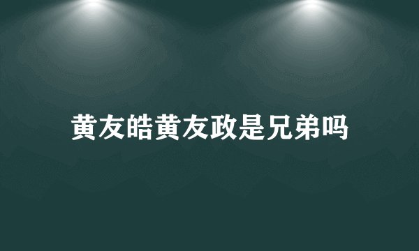 黄友皓黄友政是兄弟吗