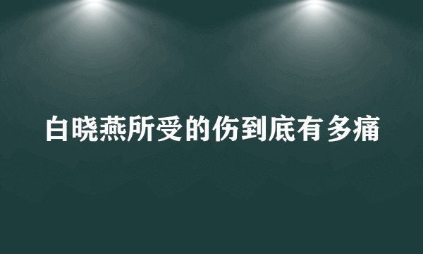 白晓燕所受的伤到底有多痛