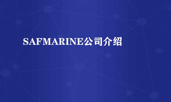 SAFMARINE公司介绍