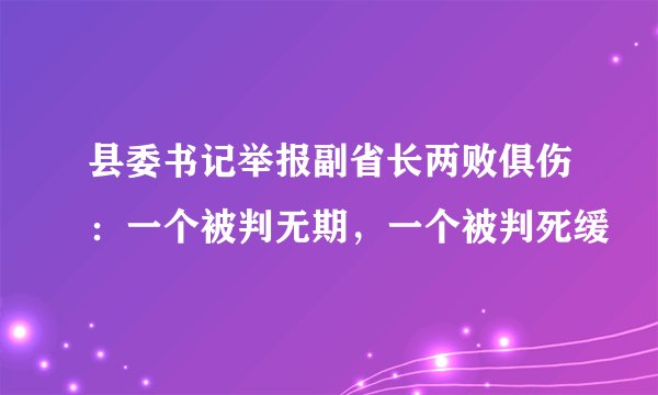 县委书记举报副省长两败俱伤：一个被判无期，一个被判死缓