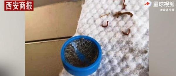 湖南一居民家自来水现大量活虫？ 这是咋情况？