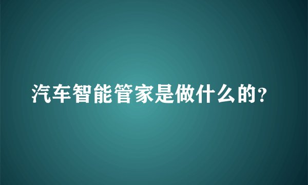 汽车智能管家是做什么的？