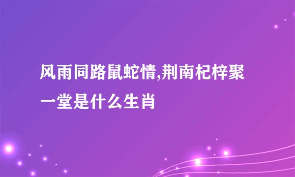 风雨同路鼠蛇情,荆南杞梓聚一堂是什么生肖