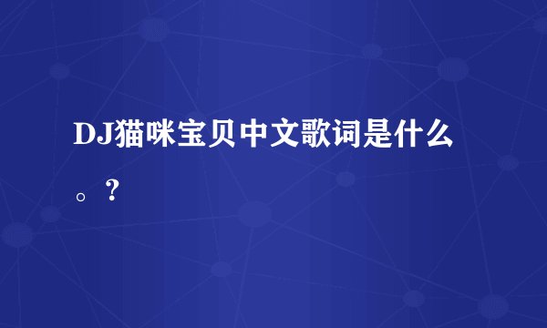 DJ猫咪宝贝中文歌词是什么。？