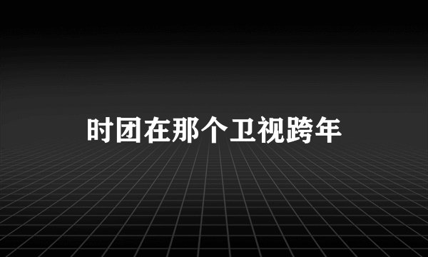 时团在那个卫视跨年