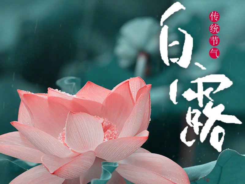 白露的三大忌讳