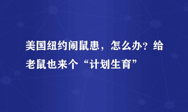 美国纽约闹鼠患，怎么办？给老鼠也来个“计划生育”