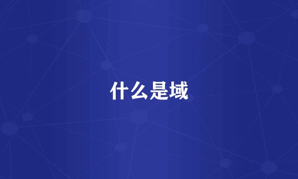 什么是域