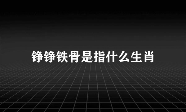 铮铮铁骨是指什么生肖