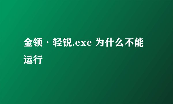 金领·轻锐.exe 为什么不能运行