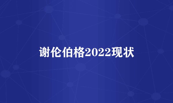 谢伦伯格2022现状