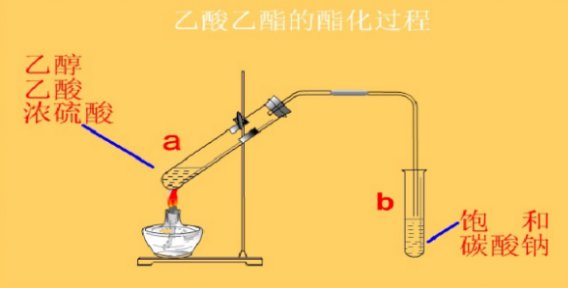 乙酸乙酯的制备装置图