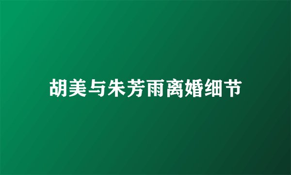 胡美与朱芳雨离婚细节