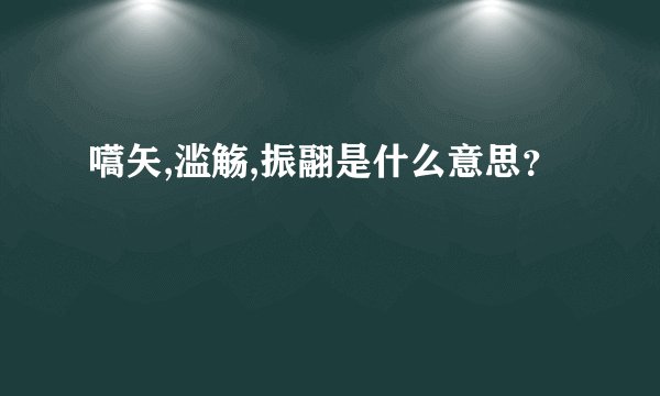 嚆矢,滥觞,振翮是什么意思？