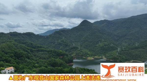 专家说法：北京专家研讨广东观音山被南方电网拒绝供电事件