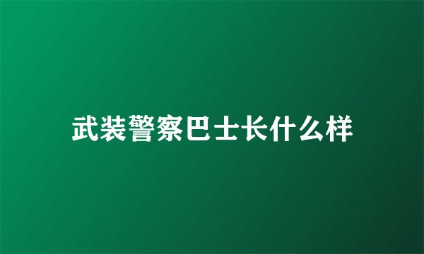 武装警察巴士长什么样