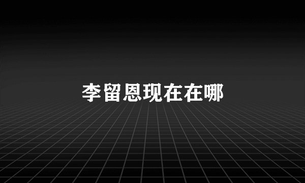 李留恩现在在哪