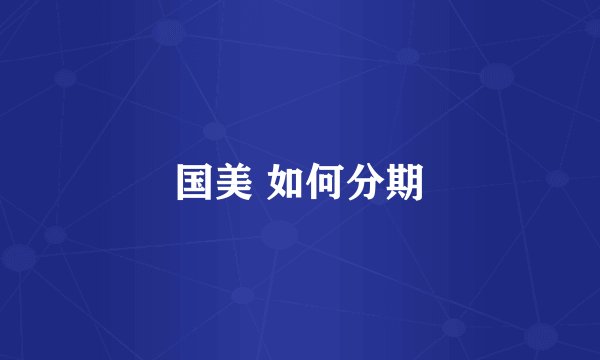 国美 如何分期