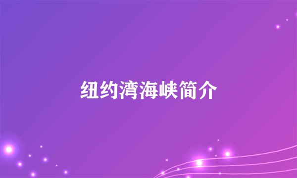 纽约湾海峡简介