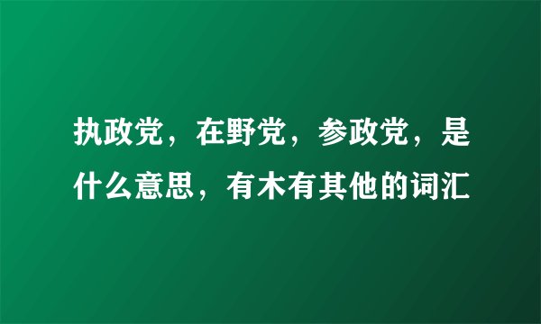 执政党，在野党，参政党，是什么意思，有木有其他的词汇