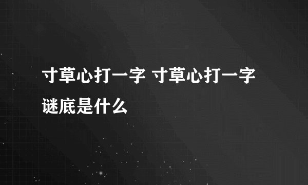 寸草心打一字 寸草心打一字谜底是什么