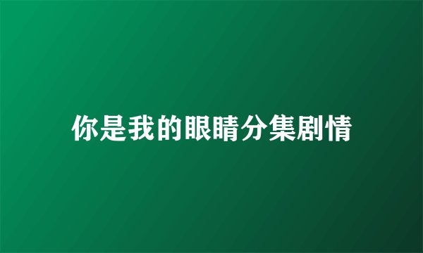 你是我的眼睛分集剧情