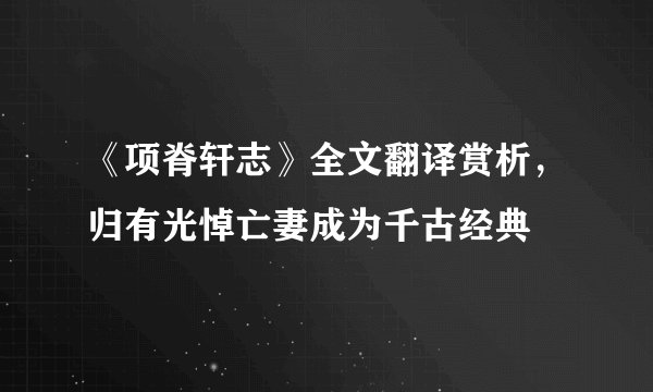 《项脊轩志》全文翻译赏析，归有光悼亡妻成为千古经典