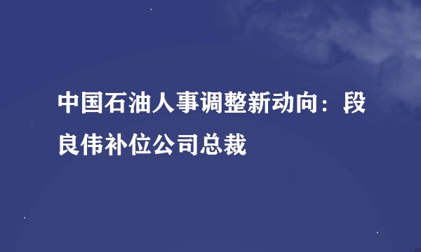 中国石油人事调整新动向：段良伟补位公司总裁