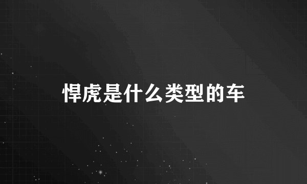 悍虎是什么类型的车