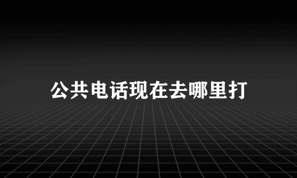 公共电话现在去哪里打