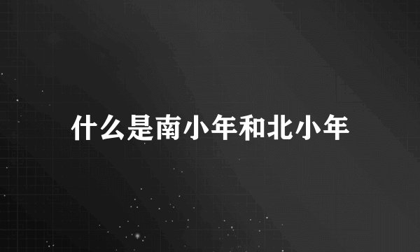 什么是南小年和北小年