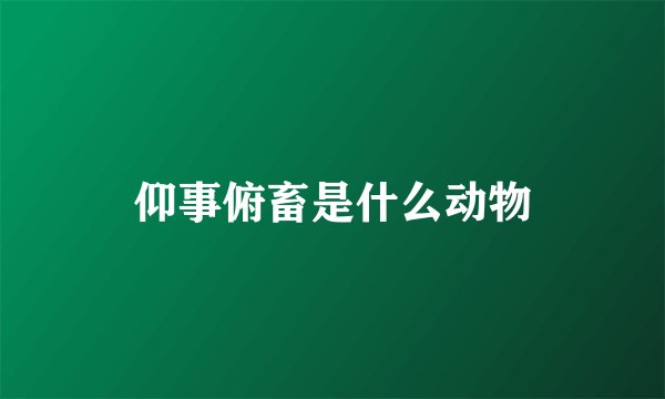 仰事俯畜是什么动物