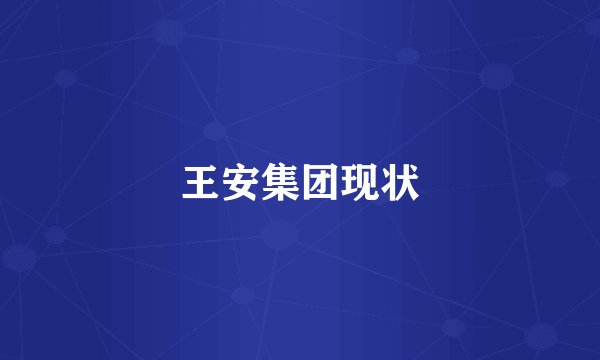 王安集团现状