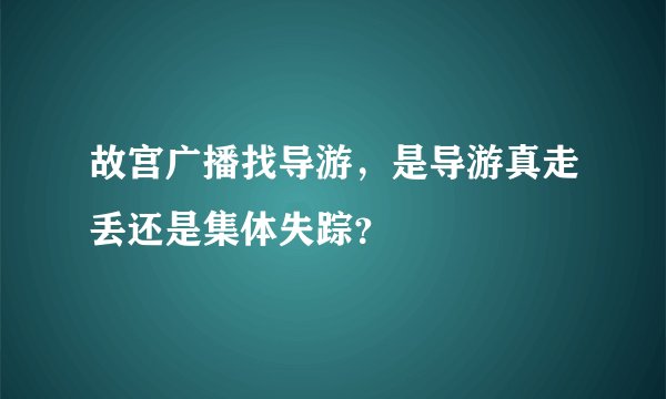 故宫广播找导游，是导游真走丢还是集体失踪？