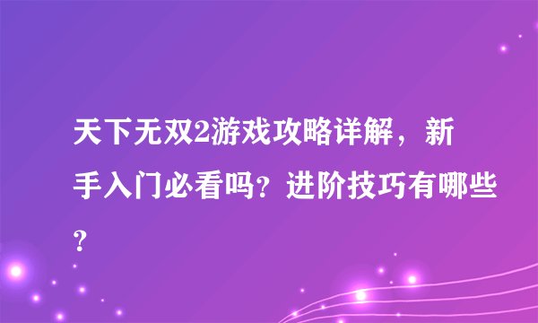 天下无双2游戏攻略详解，新手入门必看吗？进阶技巧有哪些？