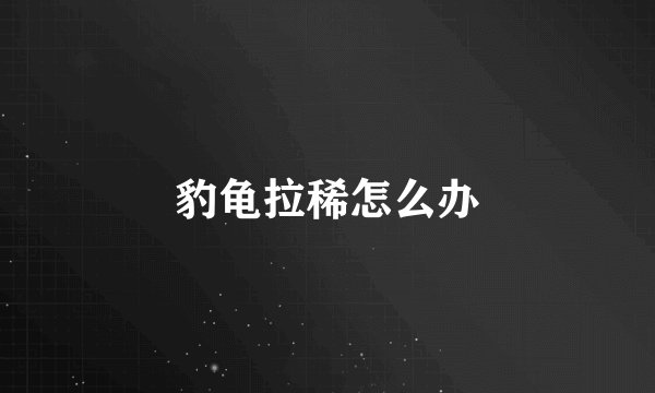 豹龟拉稀怎么办