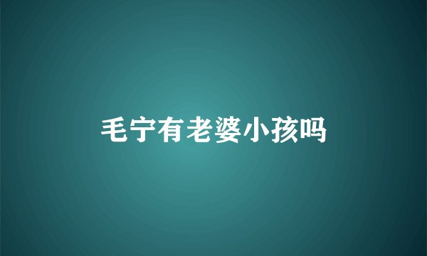 毛宁有老婆小孩吗