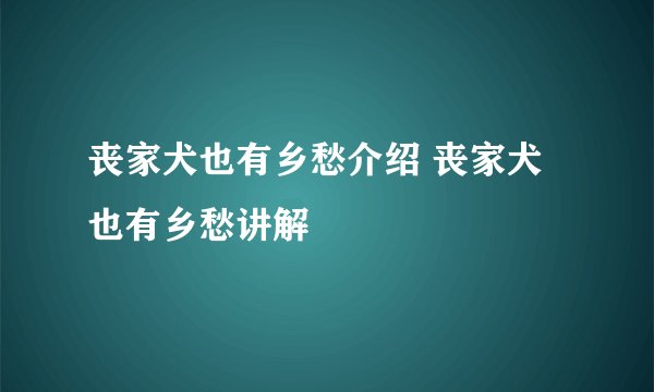 丧家犬也有乡愁介绍 丧家犬也有乡愁讲解
