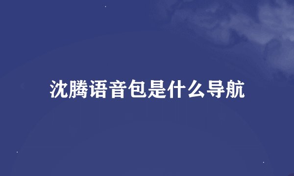 沈腾语音包是什么导航