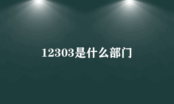 12303是什么部门