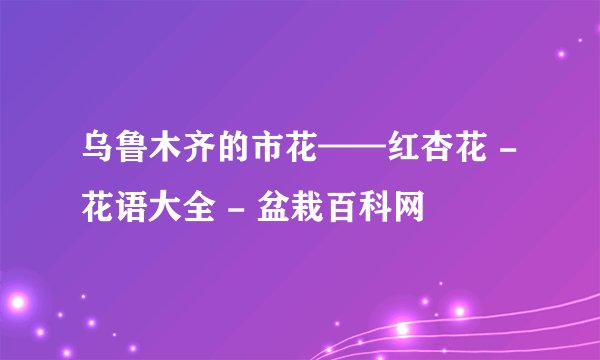 乌鲁木齐的市花——红杏花 - 花语大全 - 盆栽百科网