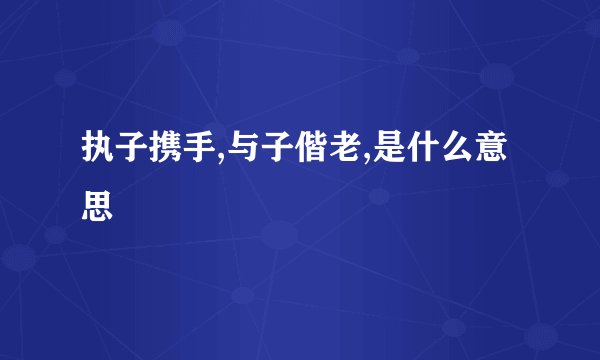 执子携手,与子偕老,是什么意思