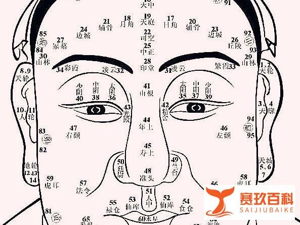 浅谈一下“山、医、命、相、卜”