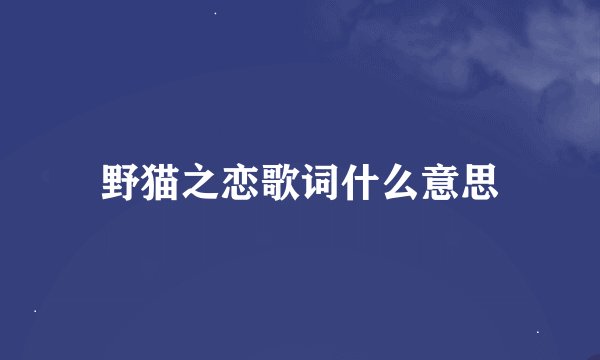 野猫之恋歌词什么意思