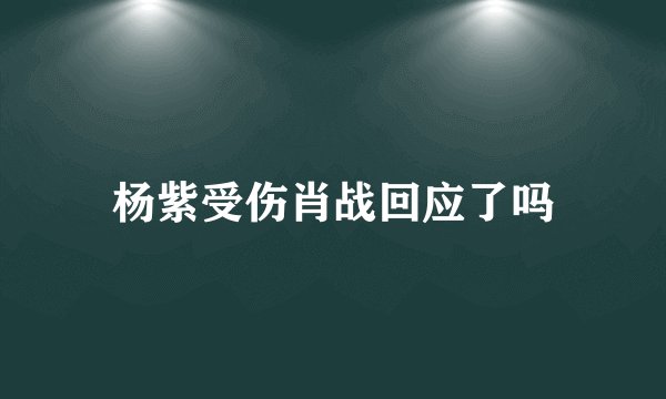 杨紫受伤肖战回应了吗
